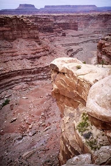 May 15, 2001 - The Needles District of Canyonlands National Park, Utah<br />Rock jutting out into Big Spring Canyon at Viewpoint #4 along Slickrock Trail.