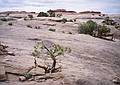 May 15, 2001 - The Needles District of Canyonlands National Park, Utah