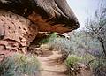 May 15, 2001 - The Needles District of Canyonlands National Park, Utah<br />At Cave Spring.