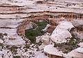 May 16, 2001 - Natural Bridges National Monument, Utah.<br />Sipapu Bridge from the overlook.