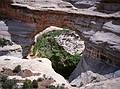 May 16, 2001 - Natural Bridges National Monument, Utah.<br />Sipapu Bridge from trail.