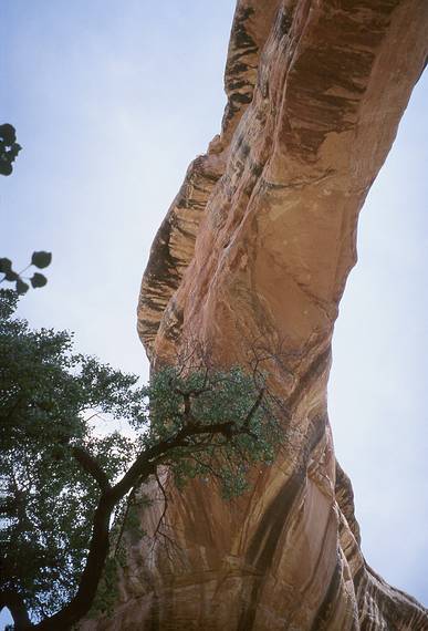 May 16, 2001 - Natural Bridges National Monument, Utah.<br />Under Sipapu Bridge.