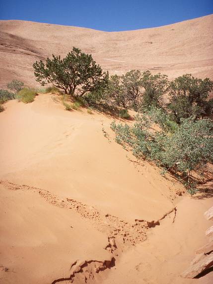 May 17, 2001 - Full day tour of Mystery Valley and Monument Valley, Utah/Arizona.