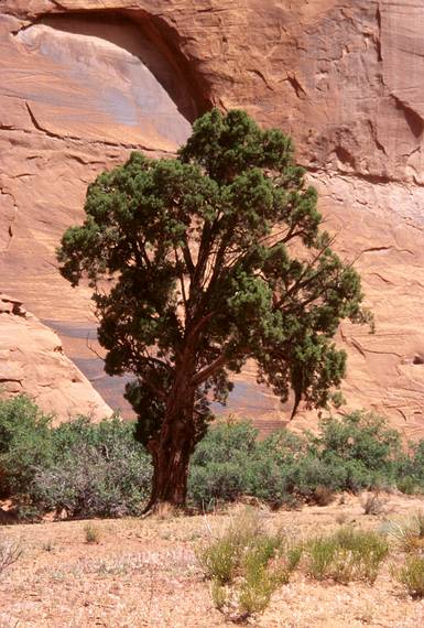 May 17, 2001 - Full day tour of Mystery Valley and Monument Valley, Utah/Arizona.