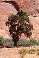 May 17, 2001 - Full day tour of Mystery Valley and Monument Valley, Utah/Arizona.