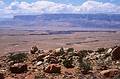May 18, 2001 - Marble Canyon area, Arizona.<br />Marble Canyon and the Vermillion Cliffs beyond from an overlook on US-89.