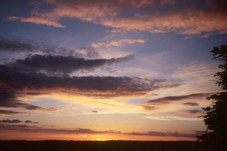 May 19, 2001 - North Rim of the Grand Canyon National Park, Arizona.<br />Sunset from Transept Trail just below the Lodge.
