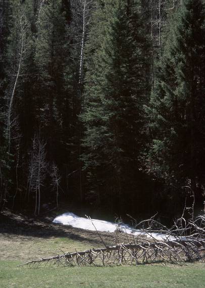 May 20, 2001 - Off North Rim Road, Grand Canyon National Park, Arizona.