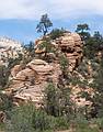 May 20, 2001 - Entrance road (UT-9) from the east to Zion National Park, Utah.