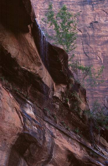 May 20, 2001 - Emerald Pools hike, Zion National Park, Utah.<br />Water dripping down over the wall from Middle Emerald Pool to the Lower Emerald Pool.