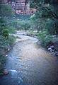 May 20, 2001 - Emerald Pools hike, Zion National Park, Utah.<br />North Fork Virgin River from the Grotto footbridge.