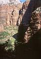 May 21, 2001 -  Zion National Park, Utah.<br />Hike to Observation Point along trail by the same name.<br />Quickly Zion Canyon fell below us.