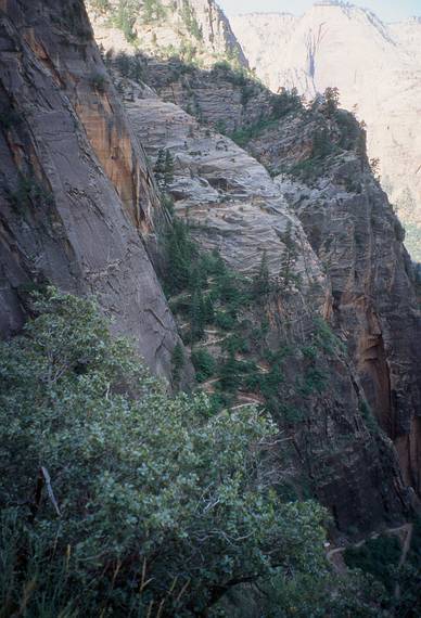 May 21, 2001 -  Zion National Park, Utah.<br />Hike to Observation Point along trail by the same name.<br />Hidden Canyon Trail zigzagging up above its junction with the Observation Trail.