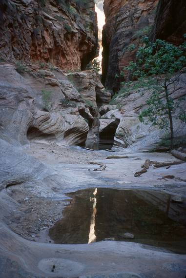May 21, 2001 -  Zion National Park, Utah.<br />Hike to Observation Point along trail by the same name.