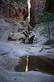 May 21, 2001 -  Zion National Park, Utah.<br />Hike to Observation Point along trail by the same name.
