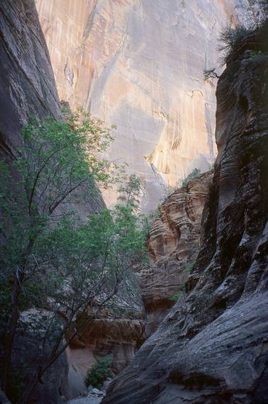May 21, 2001 -  Zion National Park, Utah.<br />Hike to Observation Point along trail by the same name.
