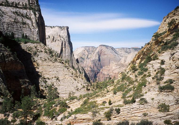 May 21, 2001 -  Zion National Park, Utah.<br />Hike to Observation Point along trail by the same name.<br />Zion Canyon in the distance.