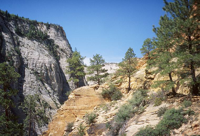 May 21, 2001 -  Zion National Park, Utah.<br />Hike to Observation Point along trail by the same name.