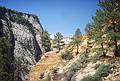 May 21, 2001 -  Zion National Park, Utah.<br />Hike to Observation Point along trail by the same name.