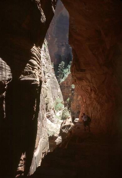 May 21, 2001 -  Zion National Park, Utah.<br />Hike to Observation Point along trail by the same name.<br />Heading back down through the narrow part.
