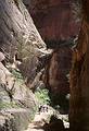 May 21, 2001 -  Zion National Park, Utah.<br />Hike to Observation Point along trail by the same name.<br />Heading down.