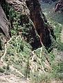 May 21, 2001 -  Zion National Park, Utah.<br />Hike to Observation Point along trail by the same name.<br />Near the bottom the trial is now in the sun and very hot (but we are going down).