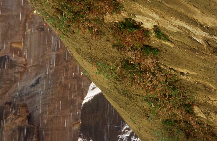 May 21, 2001 - Weeping Rock, Zion National Park, Utah.