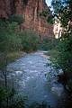 May 21, 2001 - Riverside Walk, Zion National Park, Utah<br />North Fork Virgin River above Temple of Sinawava, the trailhead to the walk.