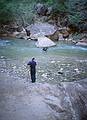 May 21, 2001 - Riverside Walk, Zion National Park, Utah<br />Two river walkers finishing their hike in the river.