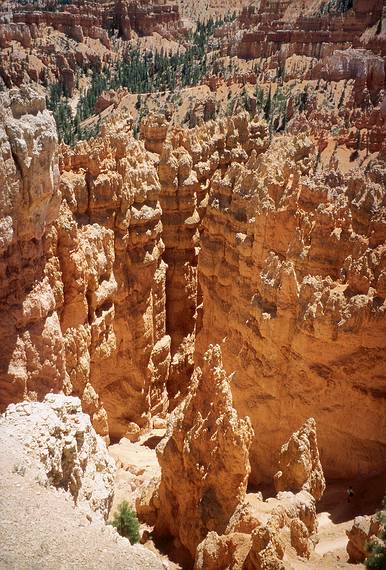 May 22, 2001 - Bryce Canyon National Park, Utah.<br />Hike along Navajo Loop Trail and Queens Garden Trail.<br />Heading down into the hoodoos.
