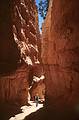 May 22, 2001 - Bryce Canyon National Park, Utah.<br />Hike along Navajo Loop Trail and Queens Garden Trail.<br />Ronnie strolling through Wall Street.