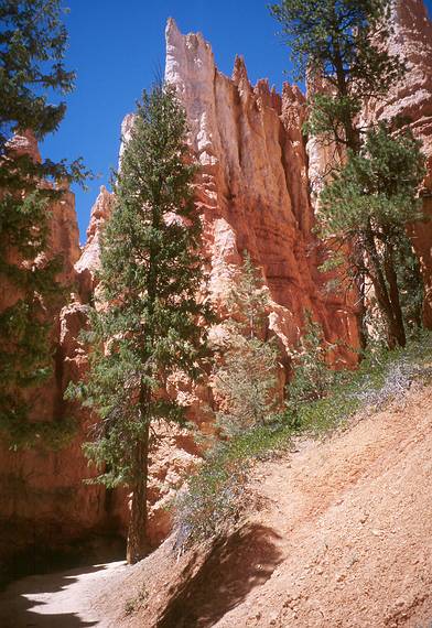 May 22, 2001 - Bryce Canyon National Park, Utah.<br />Hike along Navajo Loop Trail and Queens Garden Trail.