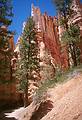May 22, 2001 - Bryce Canyon National Park, Utah.<br />Hike along Navajo Loop Trail and Queens Garden Trail.