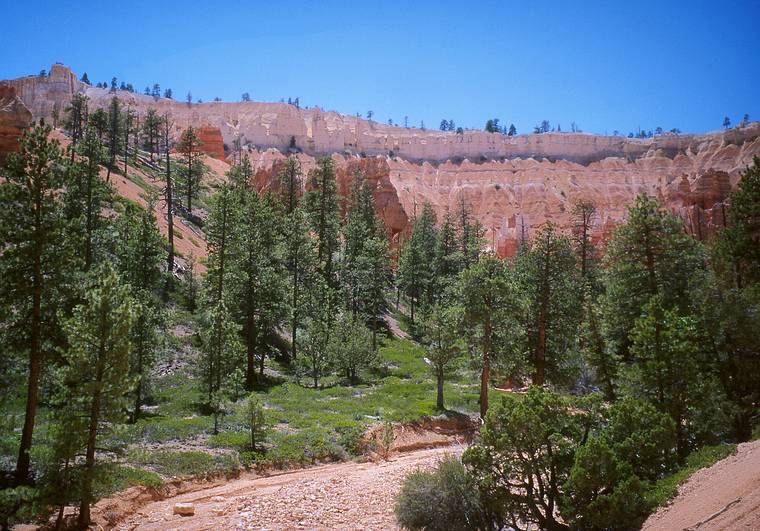 May 22, 2001 - Bryce Canyon National Park, Utah.<br />Hike along Navajo Loop Trail and Queens Garden Trail.<br />Looking back up at the rim (maybe Inspiration Point is at the extreme left).