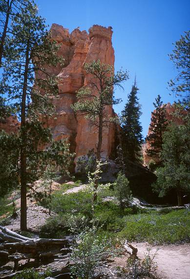 May 22, 2001 - Bryce Canyon National Park, Utah.<br />Hike along Navajo Loop Trail and Queens Garden Trail.