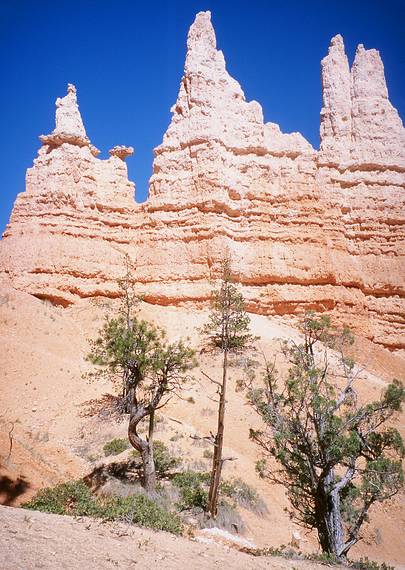 May 22, 2001 - Bryce Canyon National Park, Utah.<br />Hike along Navajo Loop Trail and Queens Garden Trail.<br />The Queen on the left.
