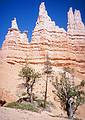 May 22, 2001 - Bryce Canyon National Park, Utah.<br />Hike along Navajo Loop Trail and Queens Garden Trail.<br />The Queen on the left.