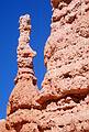May 22, 2001 - Bryce Canyon National Park, Utah.<br />Hike along Navajo Loop Trail and Queens Garden Trail.<br />A hoodoo separated from its parent.