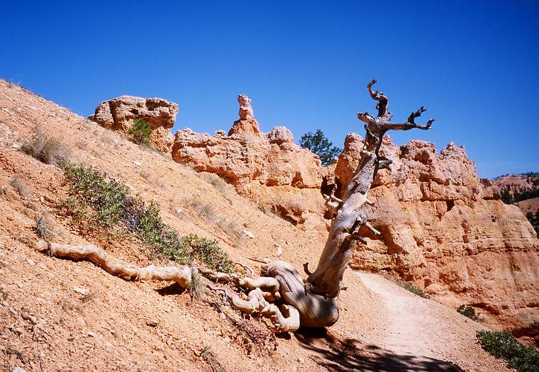 May 22, 2001 - Bryce Canyon National Park, Utah.<br />Hike along Navajo Loop Trail and Queens Garden Trail.