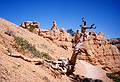 May 22, 2001 - Bryce Canyon National Park, Utah.<br />Hike along Navajo Loop Trail and Queens Garden Trail.