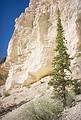 May 23, 2001 - Peekaboo Loop Trail Hike, Bryce Canyon National Park, Utah.