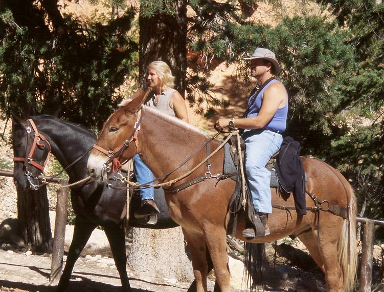 May 23, 2001 - Peekaboo Loop Trail Hike, Bryce Canyon National Park, Utah.<br />Some take the easy way through the hoodoos.