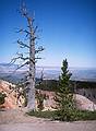 May 23, 2001 - Bryce Canyon National Park, Utah.