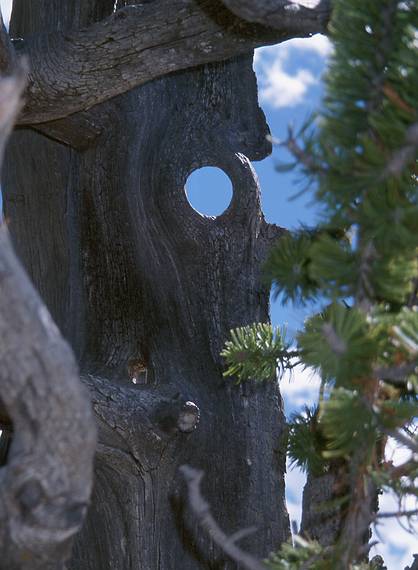 May 23, 2001 - Bryce Canyon National Park, Utah.