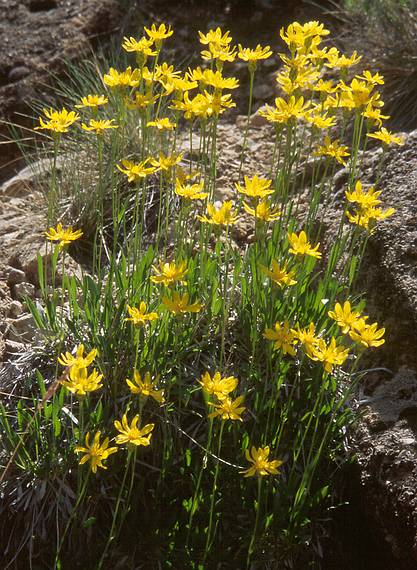 May 24, 2001 - Scenic Byway UT-12, Utah.<br />Hike in Escalante State Park's petrified forest trail.