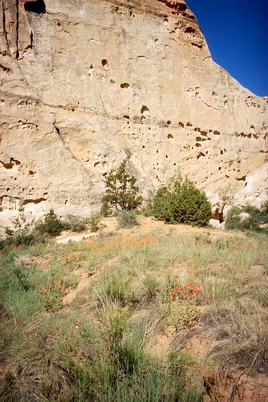 May 25, 2008 - Hike in Capitol Gorge, Capitol Reef National Park, Utah