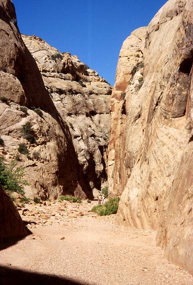 May 25, 2008 - Hike in Capitol Gorge, Capitol Reef National Park, Utah<br />Joyce and Baiba dwarfted by the gorge.