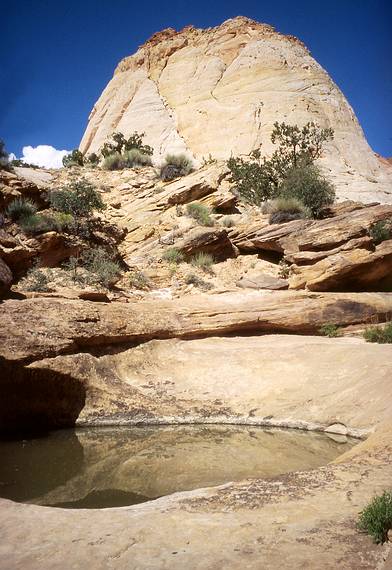 May 25, 2008 - Hike in Capitol Gorge, Capitol Reef National Park, Utah<br />A water pocket and a dome (capitol).