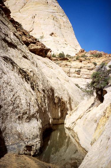 May 25, 2008 - Hike in Capitol Gorge, Capitol Reef National Park, Utah<br />Water pocket at end of trail.