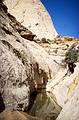May 25, 2008 - Hike in Capitol Gorge, Capitol Reef National Park, Utah<br />Water pocket at end of trail.